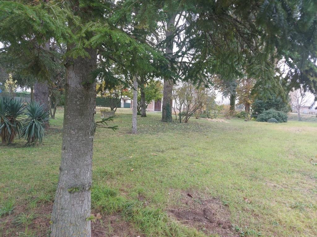 Villa in vendita a Molinella, San Pietro Capofiume