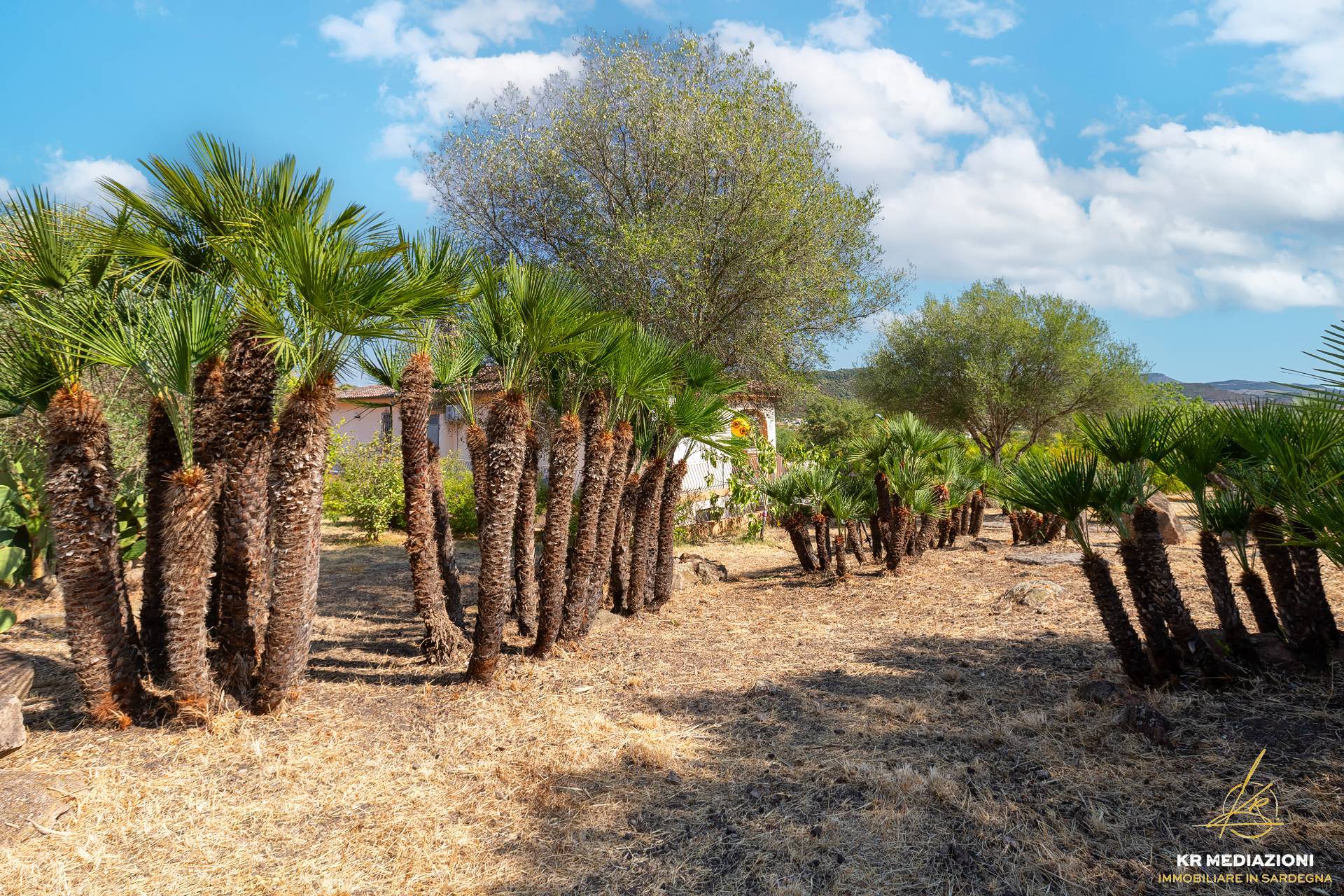 Villa in vendita a Alghero