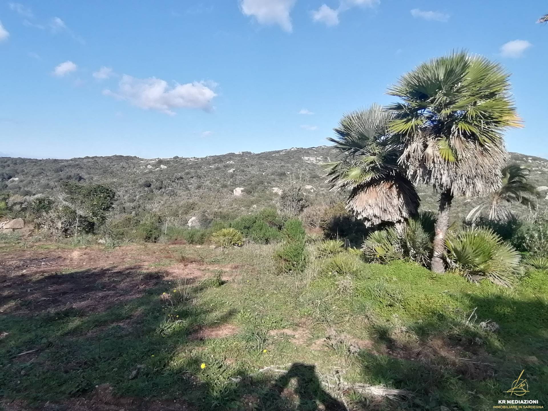 Terreno Agricolo in vendita a Aglientu