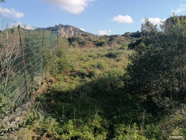 Terreno Agricolo in vendita a Aglientu