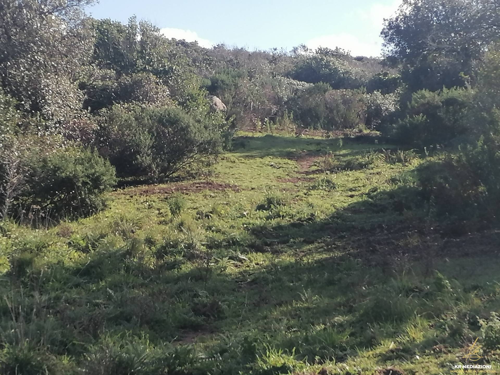 Terreno Agricolo in vendita a Aglientu