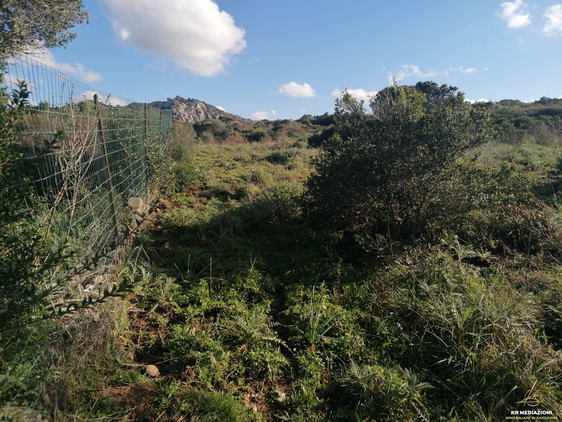 Terreno Agricolo in vendita a Aglientu