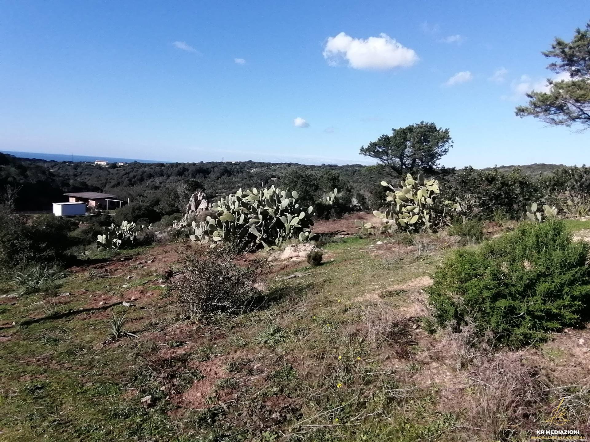 Terreno Agricolo in vendita a Aglientu