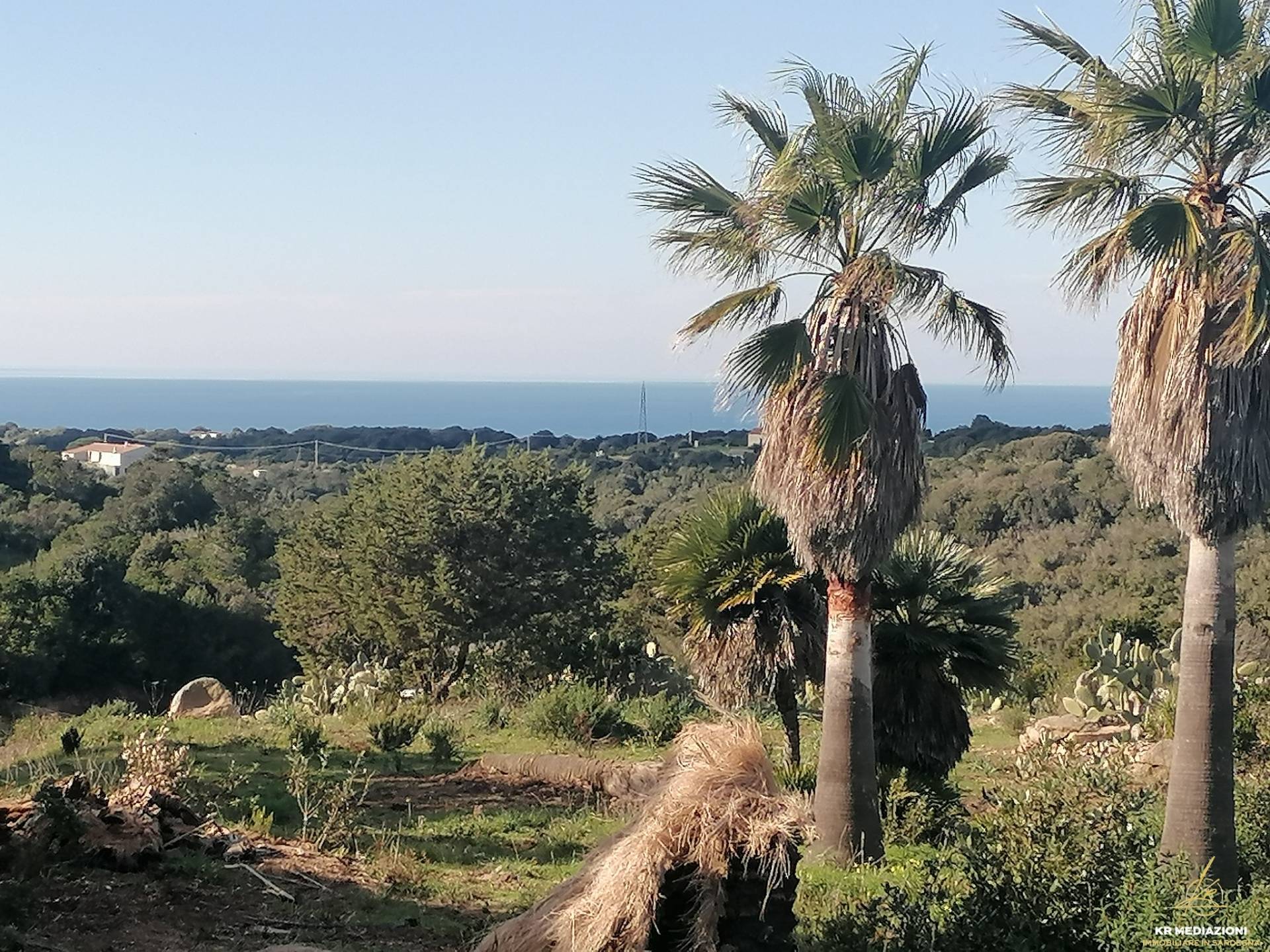 Terreno Agricolo in vendita a Aglientu