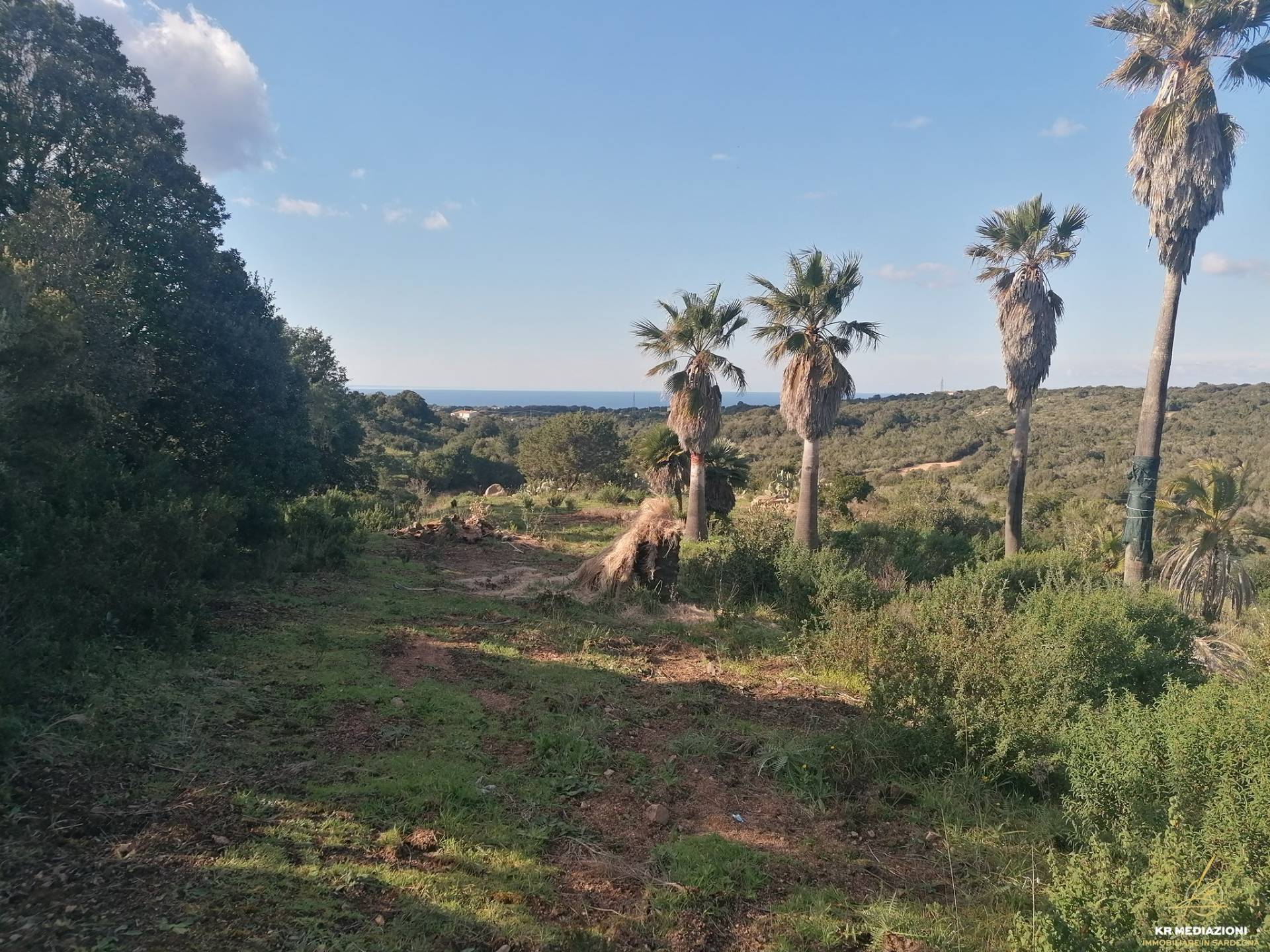 Terreno Agricolo in vendita a Aglientu