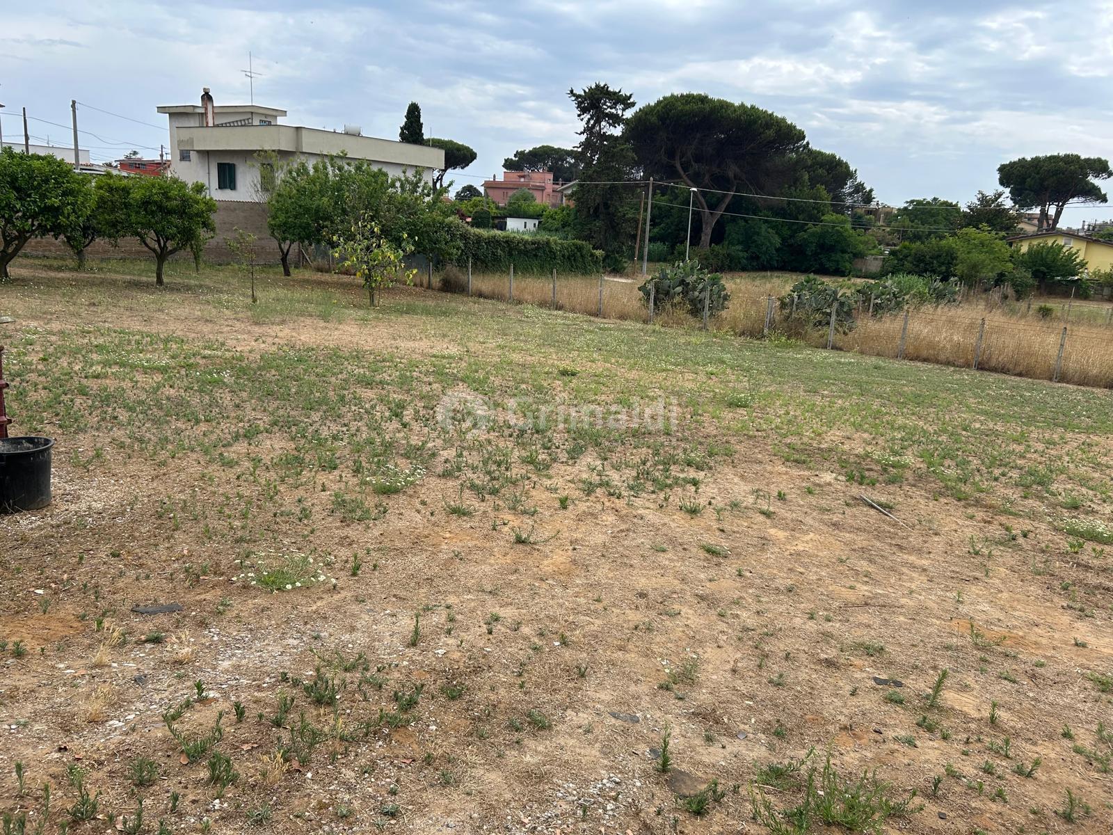 immagine annuncio 3 di 6