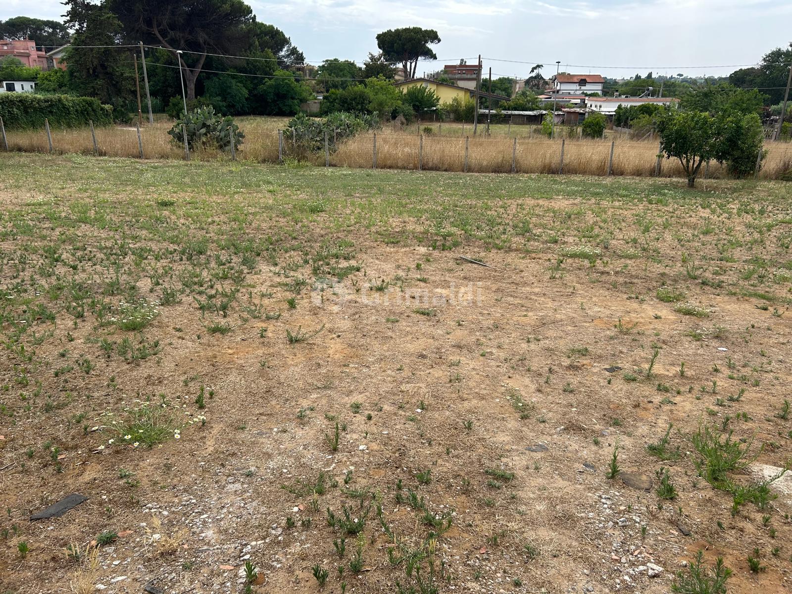 immagine annuncio 4 di 6