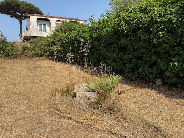 immagine annuncio 5 di 6