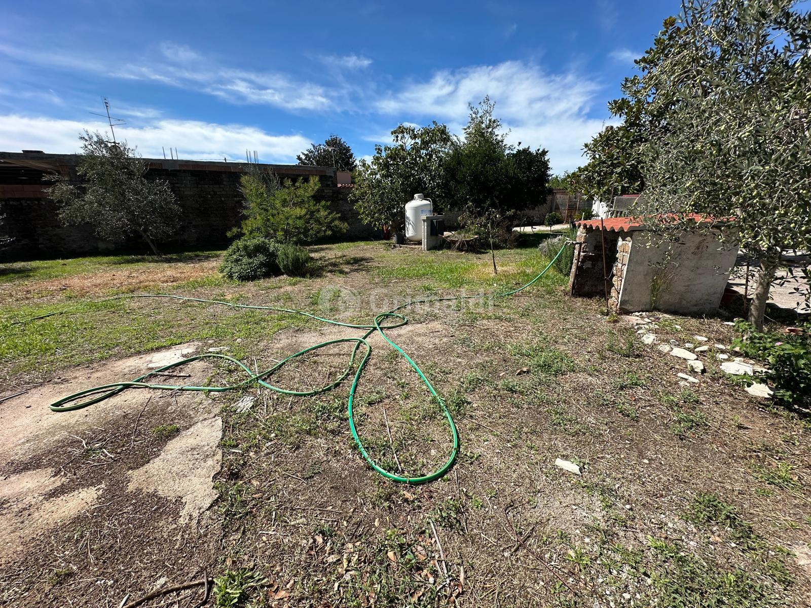 Casa indipendente da ristrutturare in via frascati 5, Nettuno