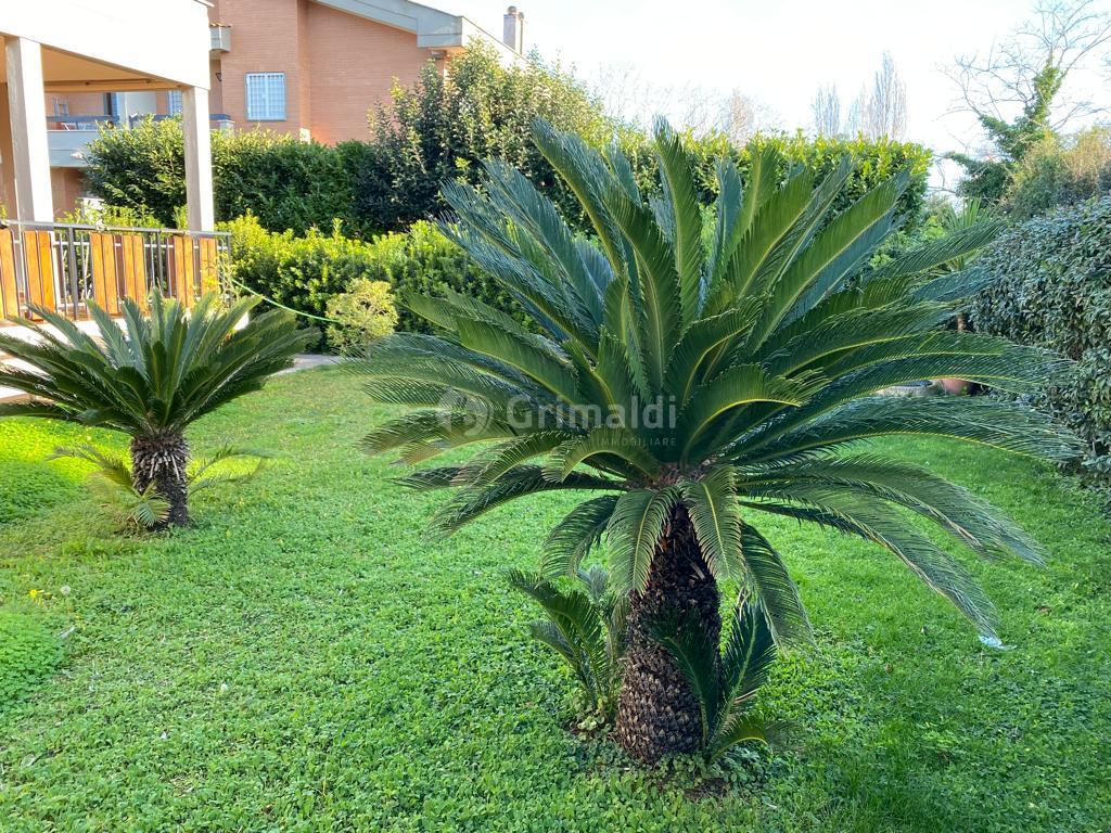Casa indipendente con giardino in viale delle ginestre 60, Anzio