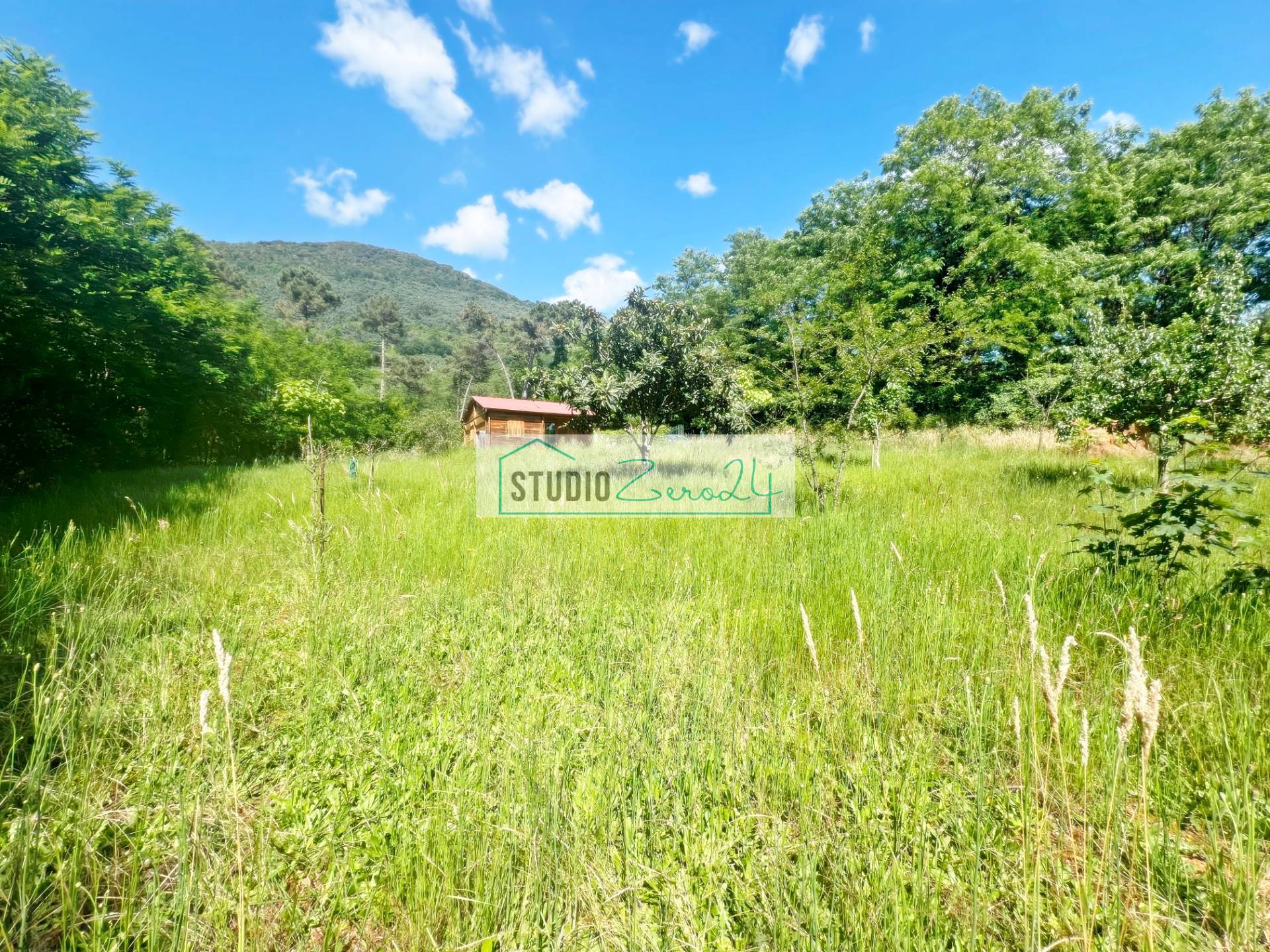 Terreno Agricolo in vendita a Camaiore, Pieve