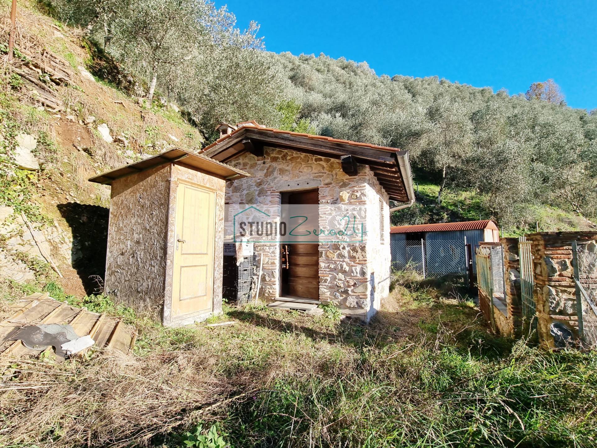 Terreno Agricolo in vendita a Camaiore, Torcigliano