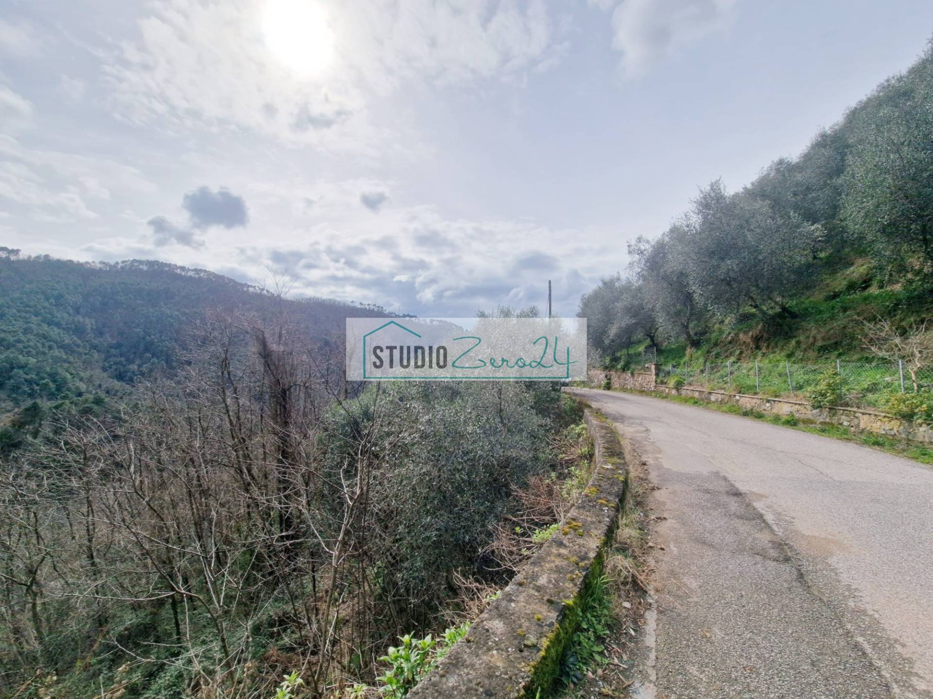 Terreno Agricolo in vendita a Camaiore, Torcigliano