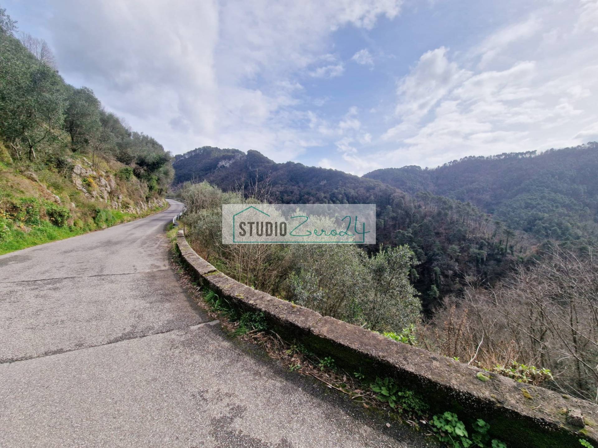 Terreno Agricolo in vendita a Camaiore, Torcigliano