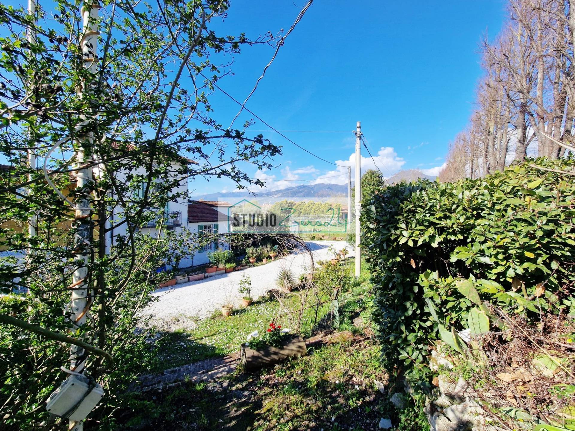 Attivit commerciale in vendita a Camaiore, Capezzano Pianore