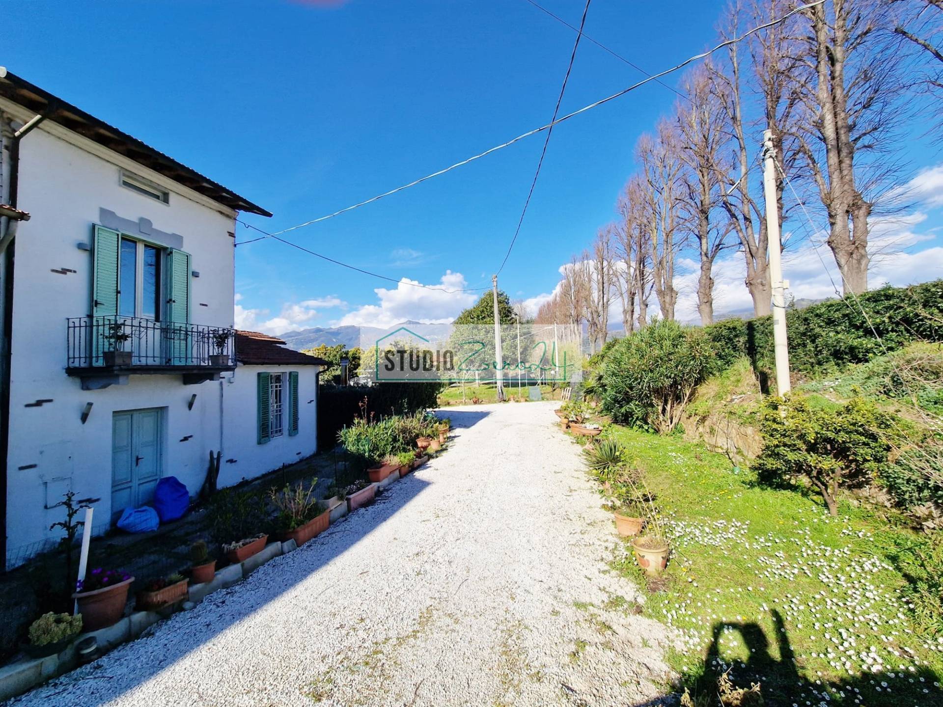 Attivit commerciale in vendita a Camaiore, Capezzano Pianore