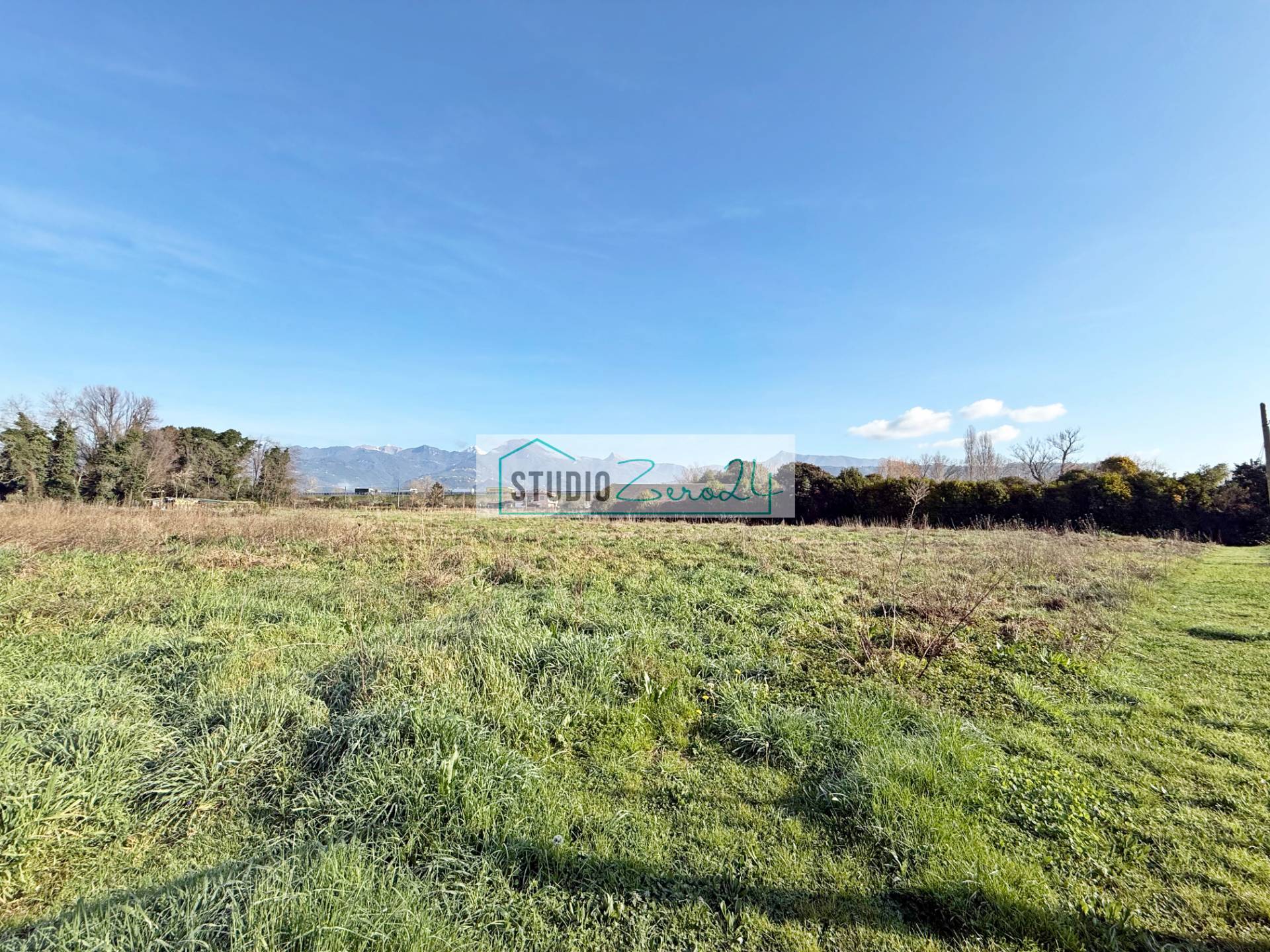 immagine annuncio 3 di 7