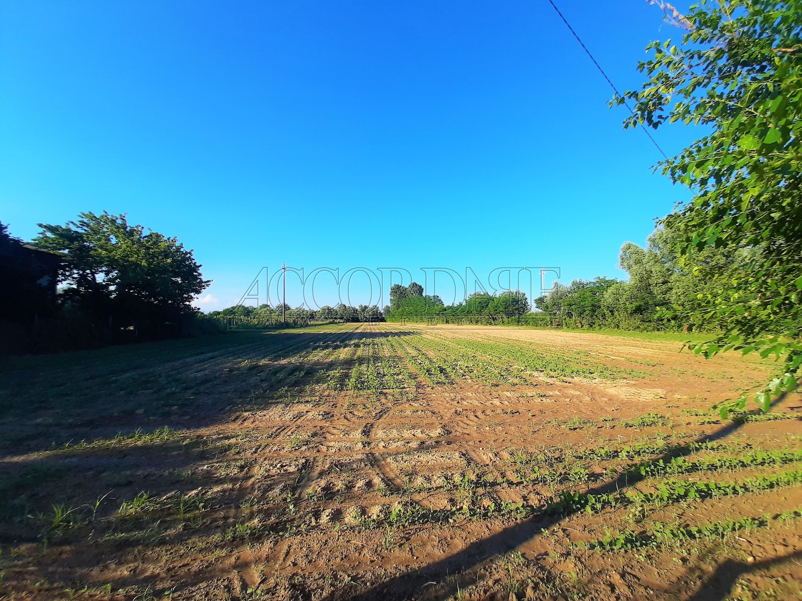 Terreno Agricolo in vendita a Campodoro