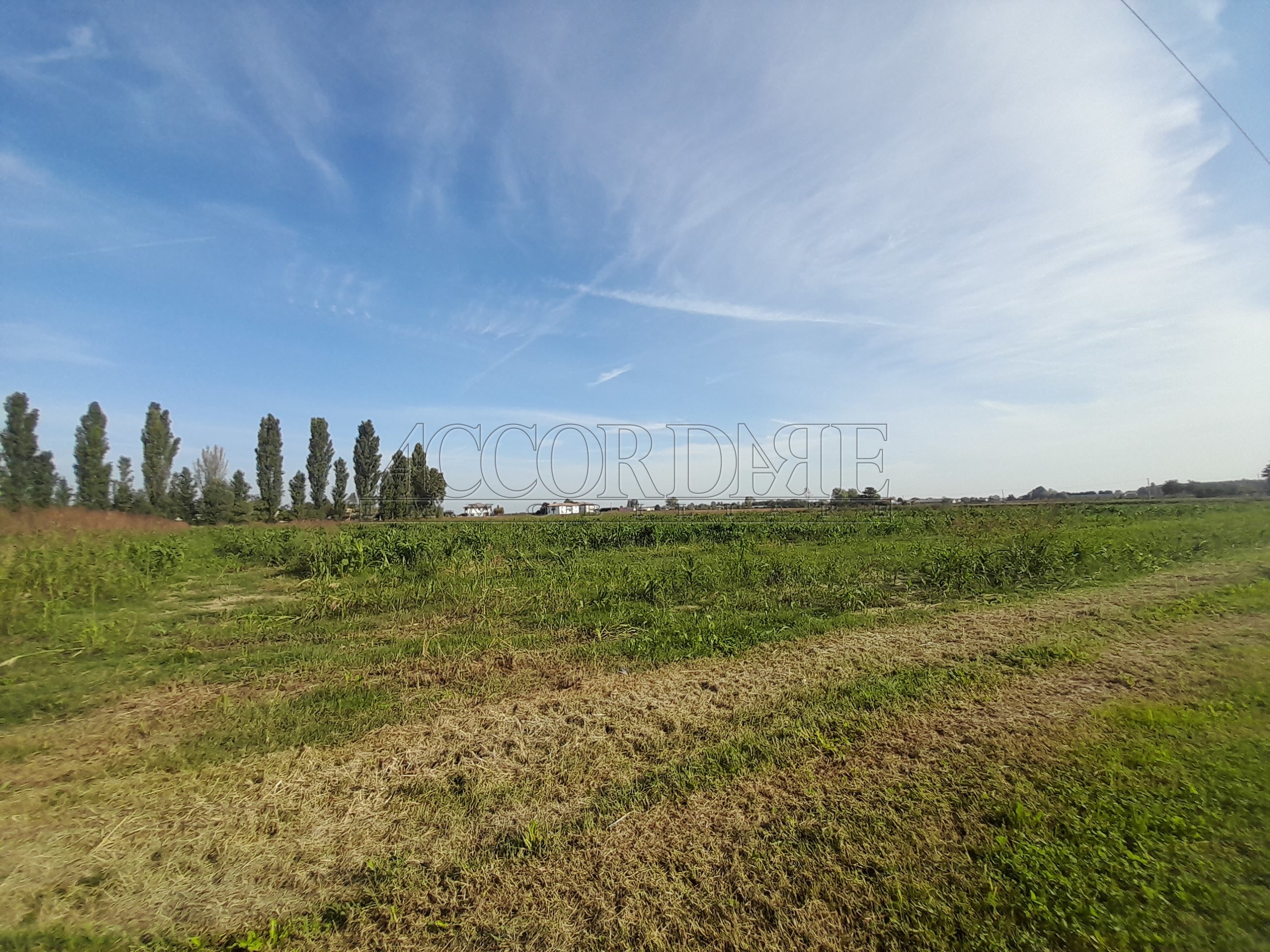 Terreno Agricolo in vendita a Campodoro