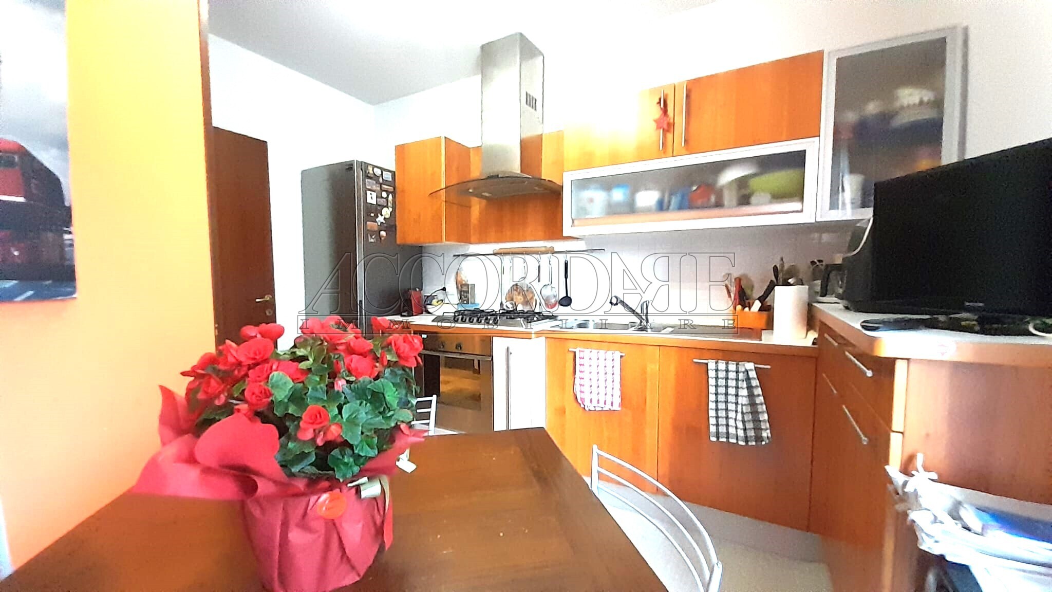Casa indipendente con giardino a Limena