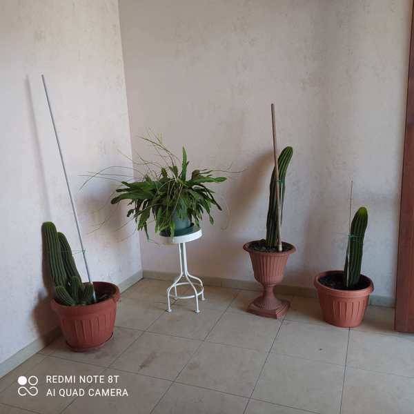 Villa bifamiliare in vendita a Avellino