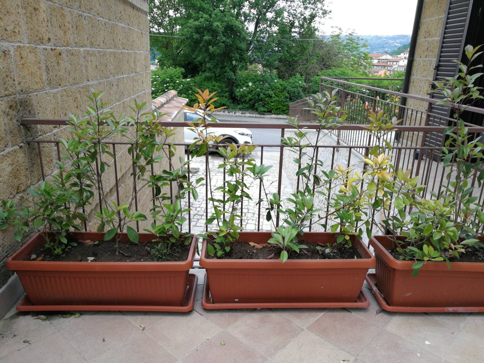 Villa bifamiliare in vendita a Pratola Serra, Pratola