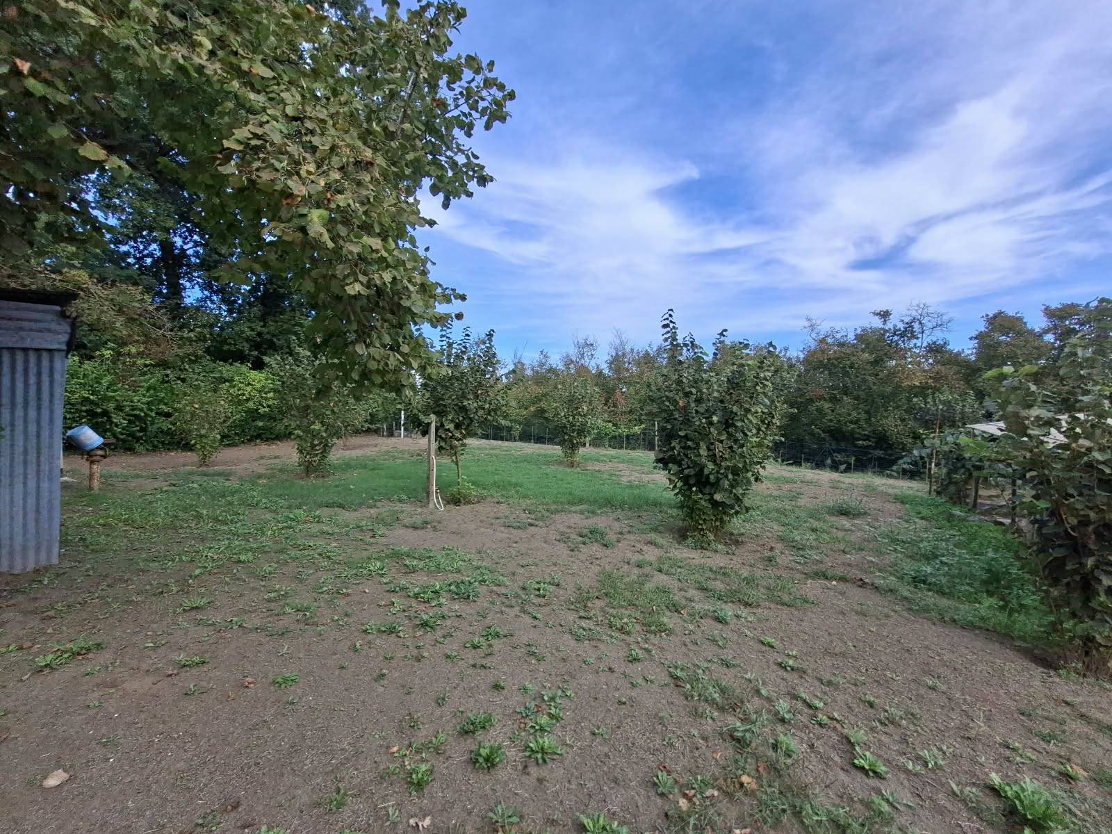 Terreno Agricolo in vendita a Montefredane