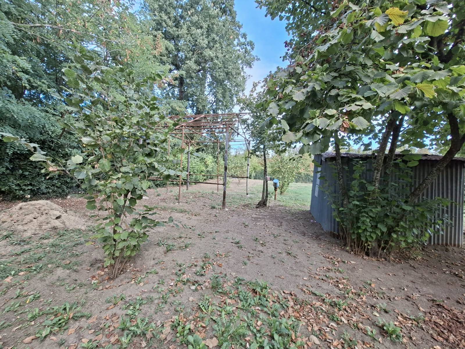 Terreno Agricolo in vendita a Montefredane