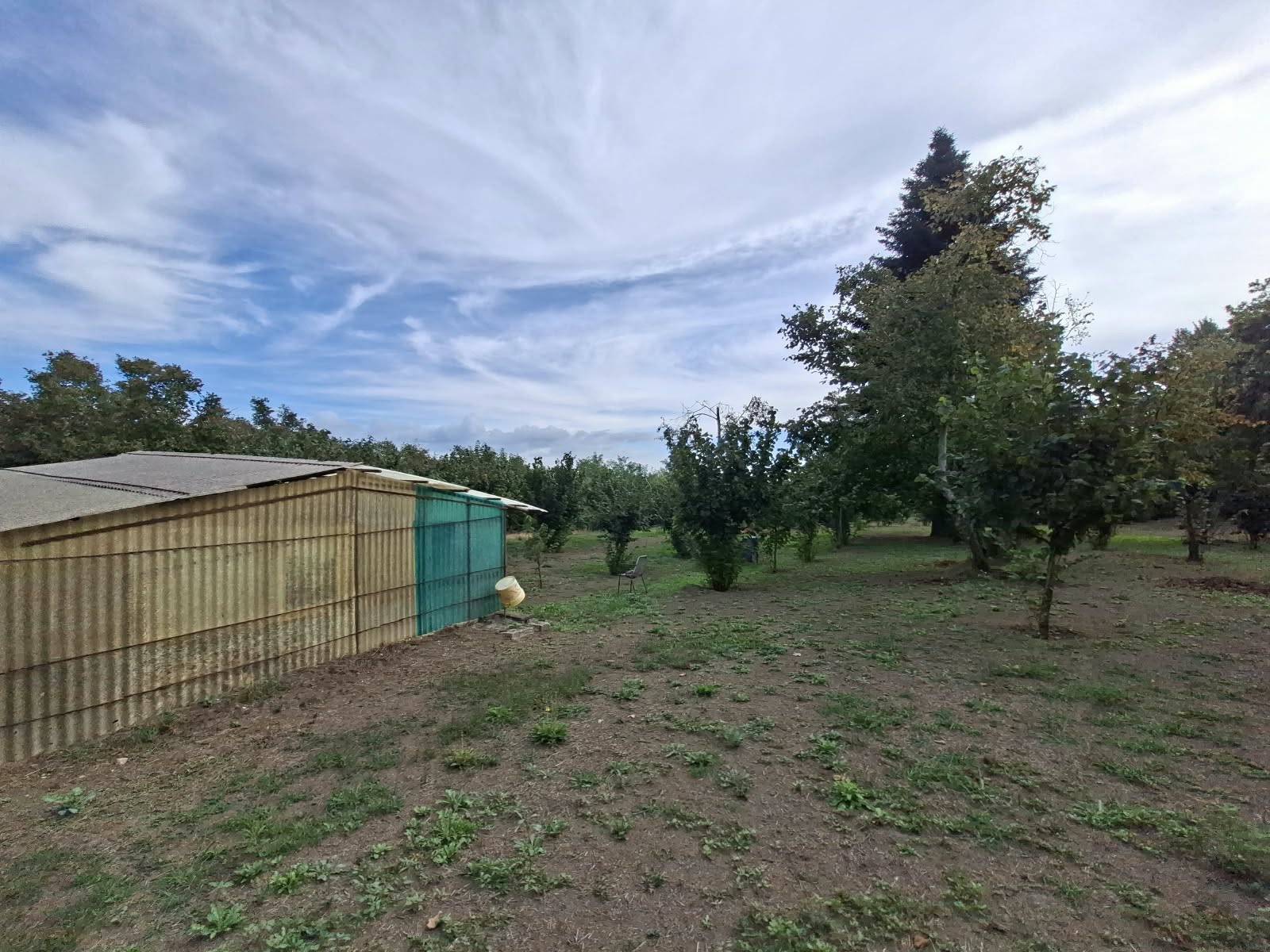 Terreno Agricolo in vendita a Montefredane