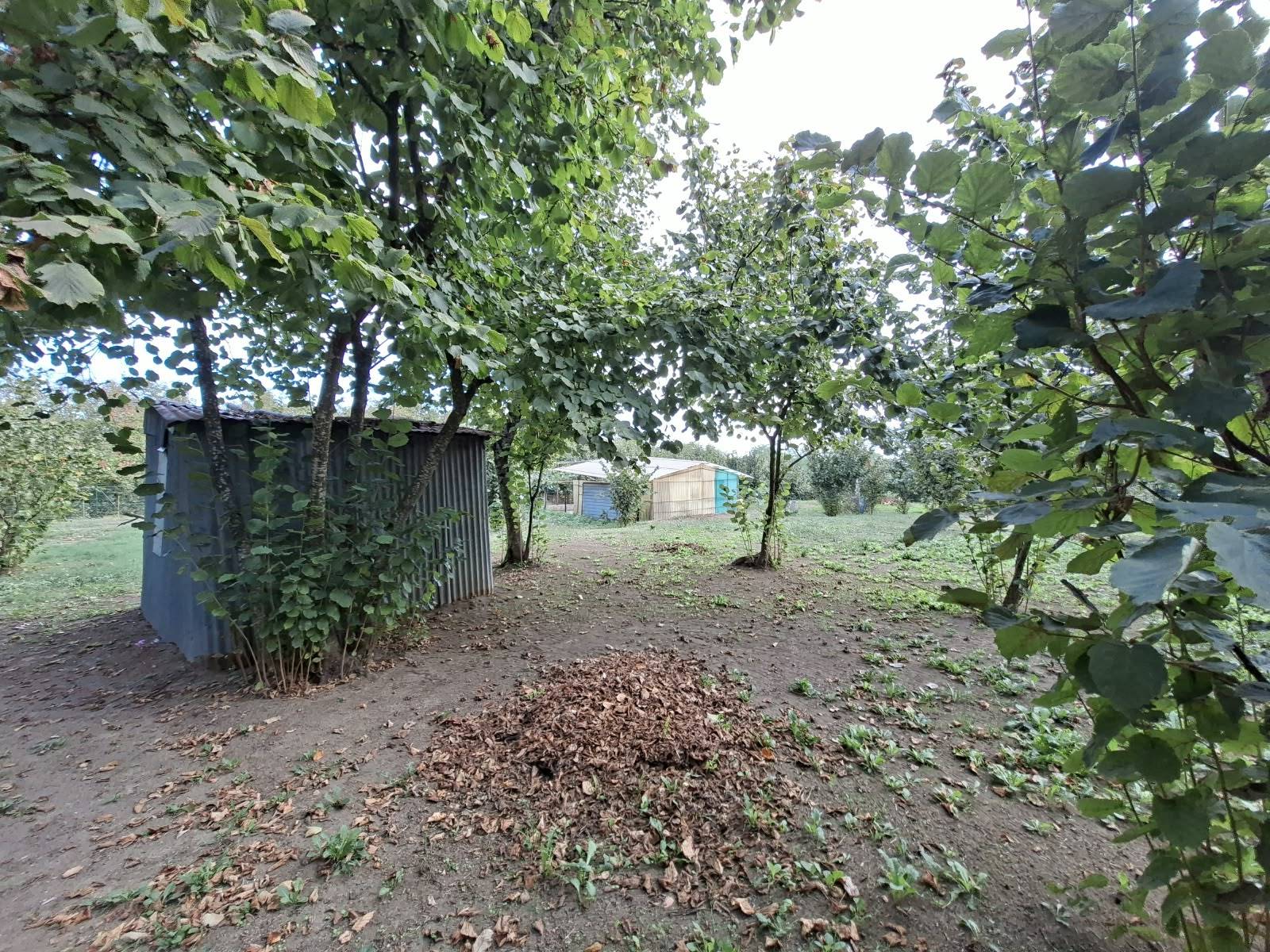 Terreno Agricolo in vendita a Montefredane