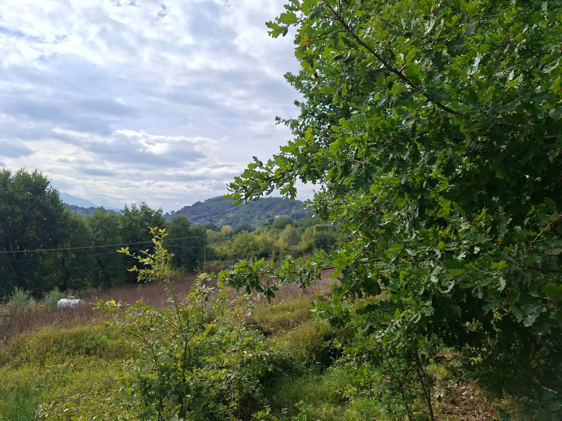 Terreno Agricolo in vendita a San Potito Ultra