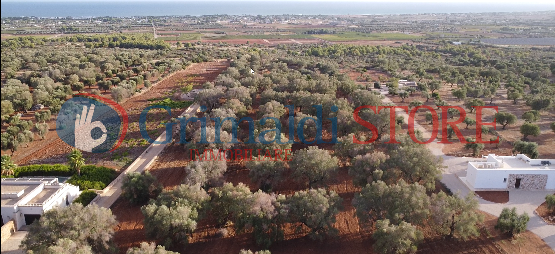 Terreno Agricolo vista mare a Manduria