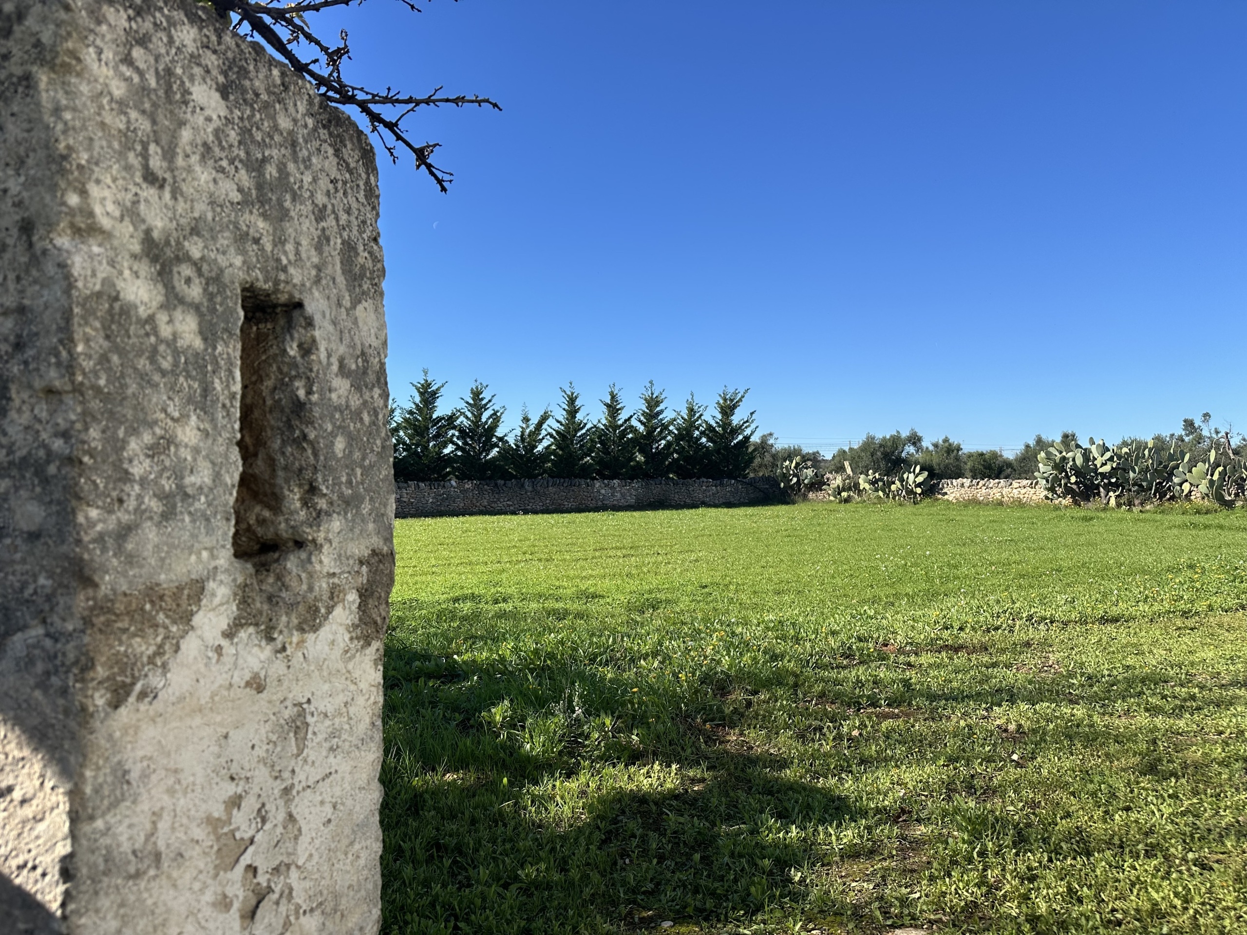 Villa in vendita in contrada montestazzo 1, Carovigno