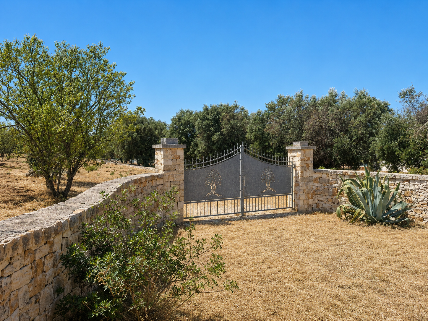 Terreno Agricolo nuovo in contrada san benedetto, Ostuni