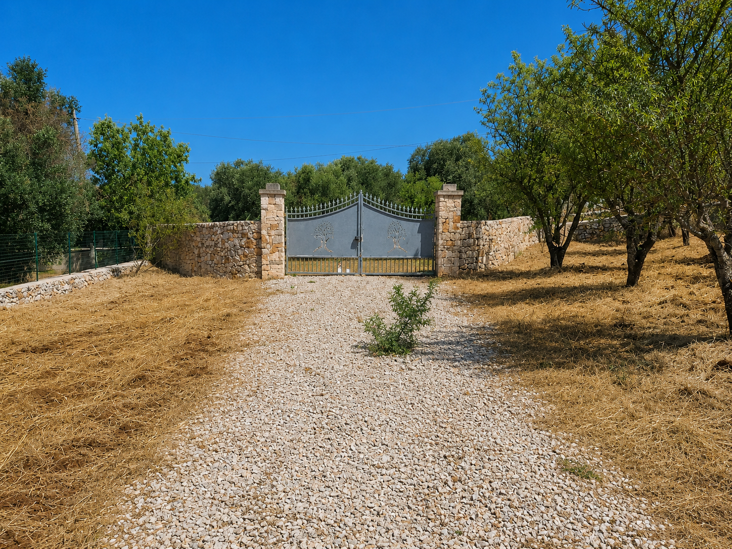 Terreno Agricolo nuovo in contrada san benedetto, Ostuni