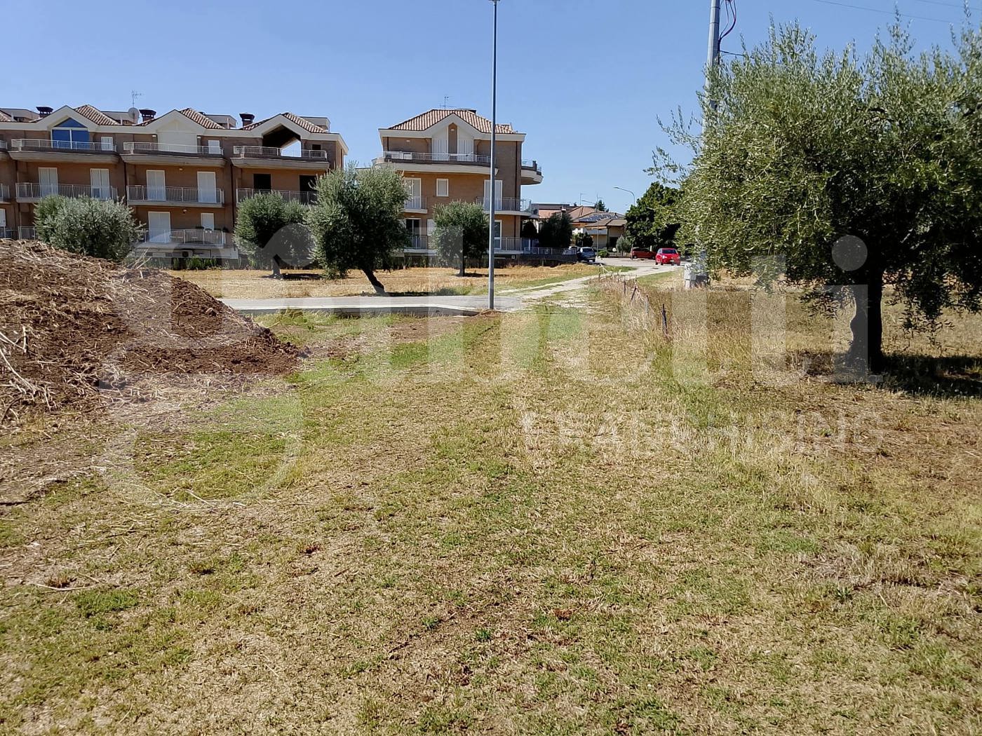 immagine annuncio 3 di 8