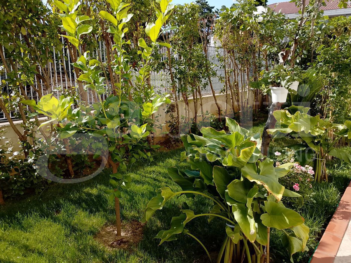 Trilocale in vendita a Alba Adriatica