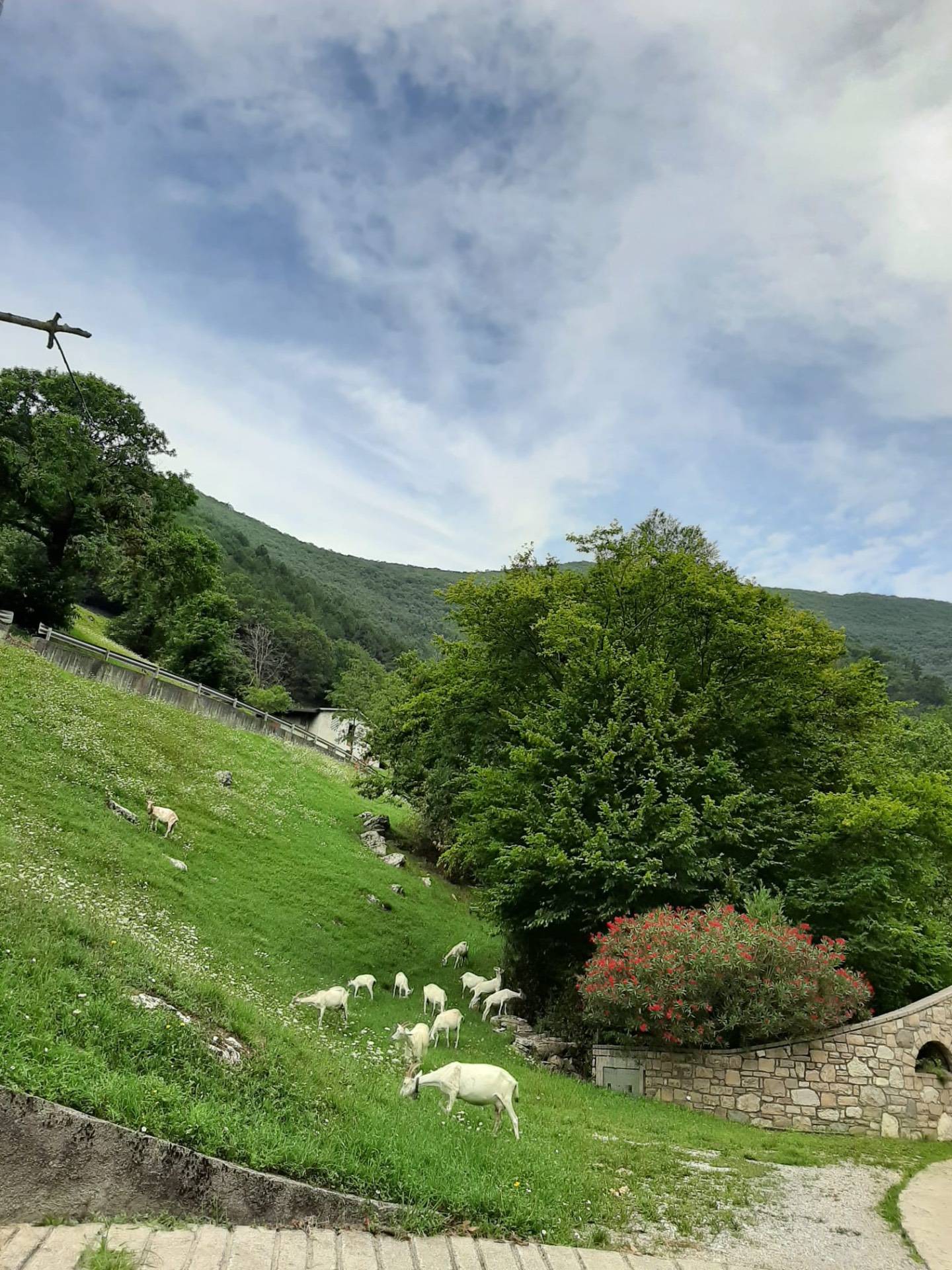 Appartamento in vendita a Viadanica