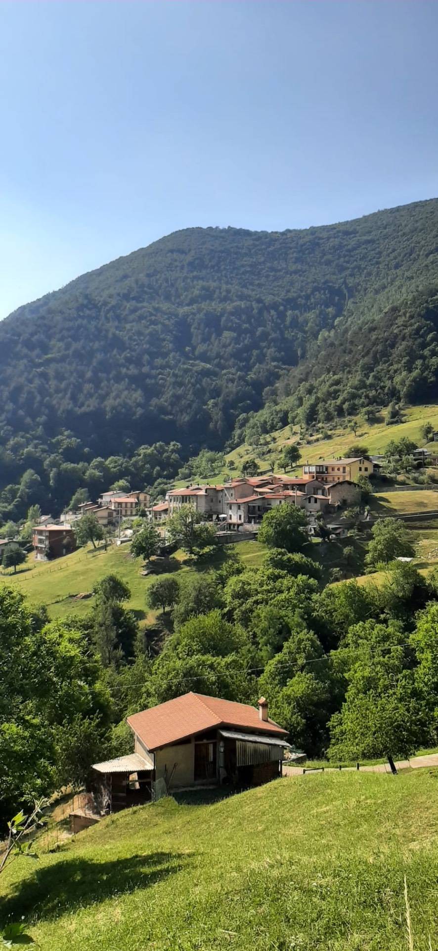 Appartamento in vendita a Viadanica