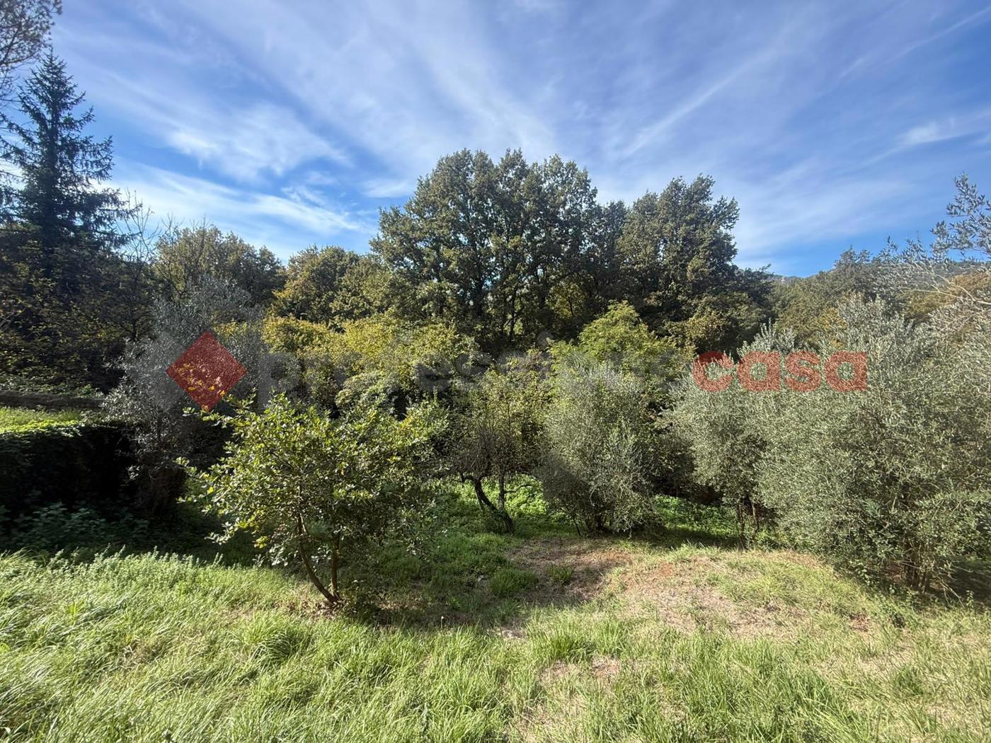 Terreno Edificabile in vendita a San Polo dei Cavalieri