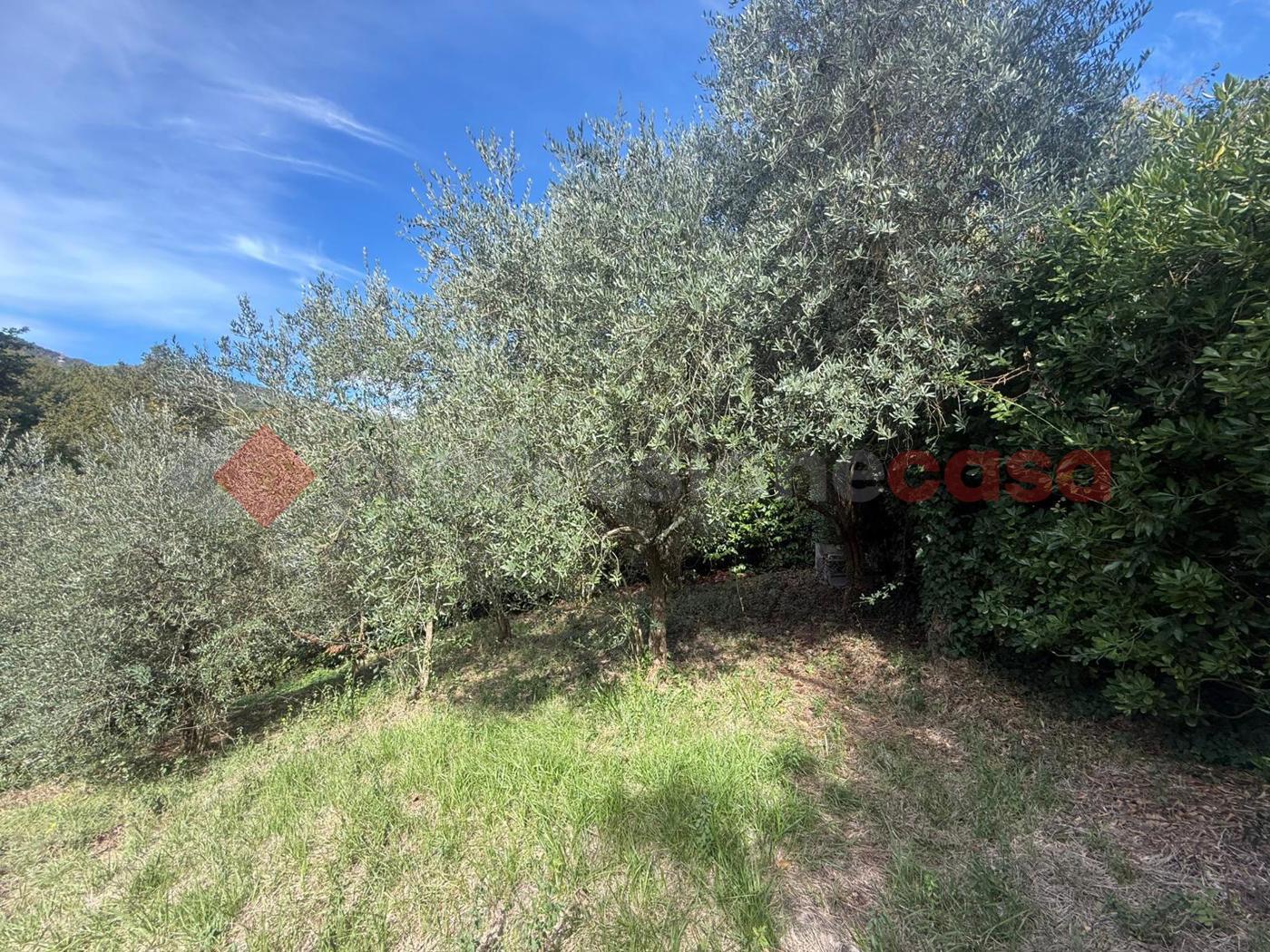 Terreno Edificabile in vendita a San Polo dei Cavalieri