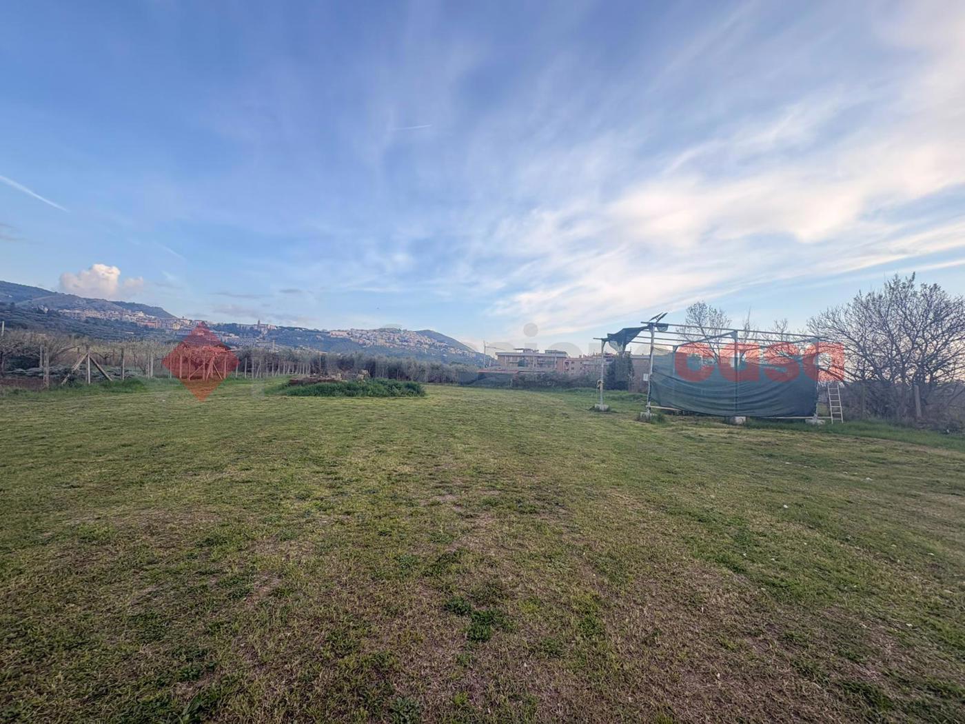 Terreno Agricolo in vendita a Tivoli