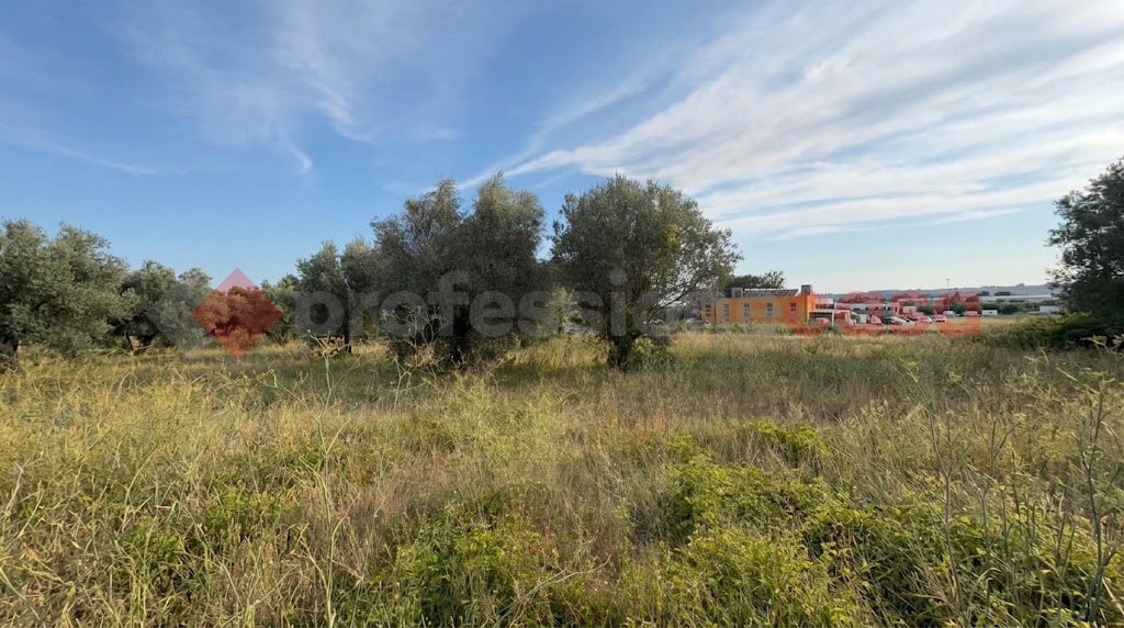 Terreno Agricolo in vendita a Tivoli