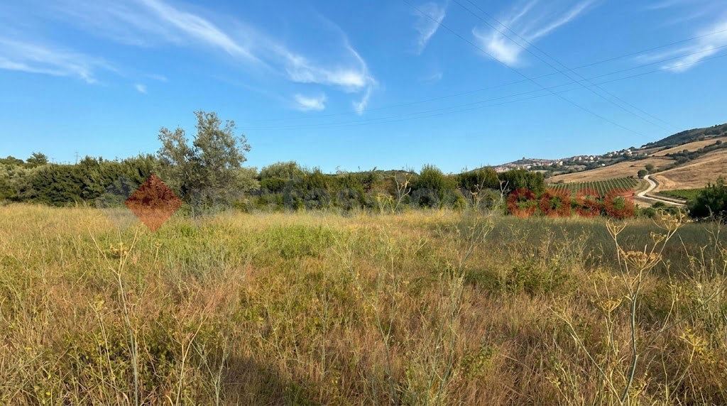 Terreno Agricolo in vendita a Tivoli