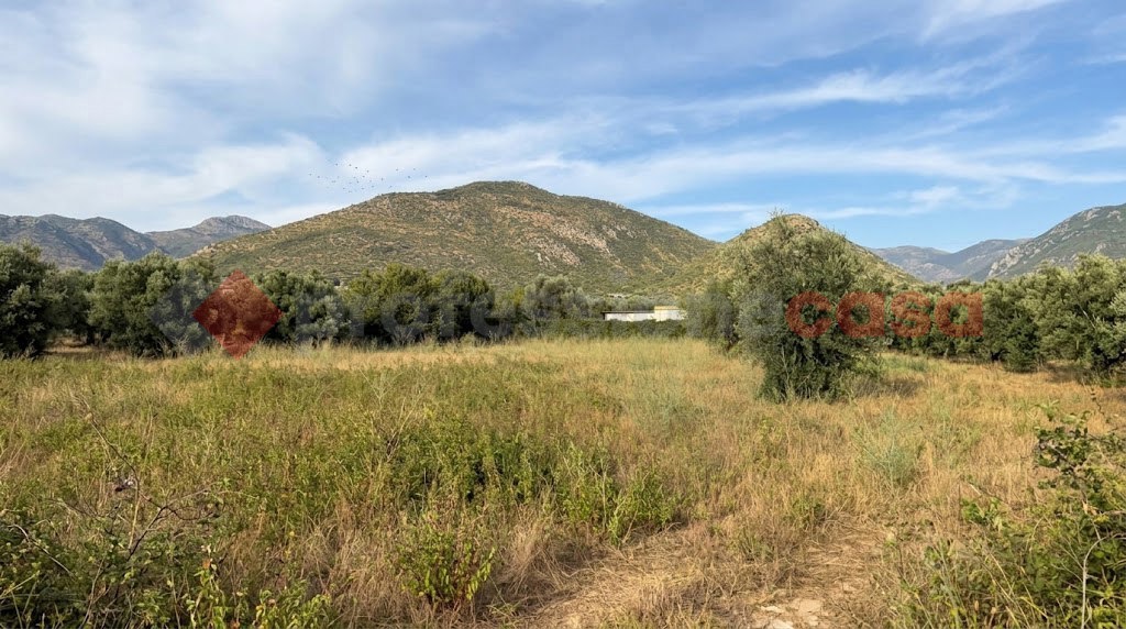 Terreno Agricolo in vendita a Tivoli