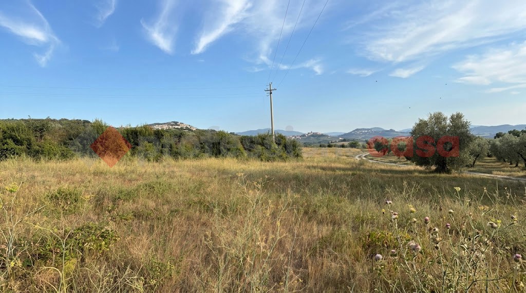 Terreno Agricolo in vendita a Tivoli