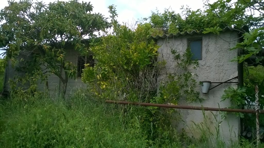 Terreno Agricolo in vendita a San Benedetto del Tronto, Porto d'Ascoli