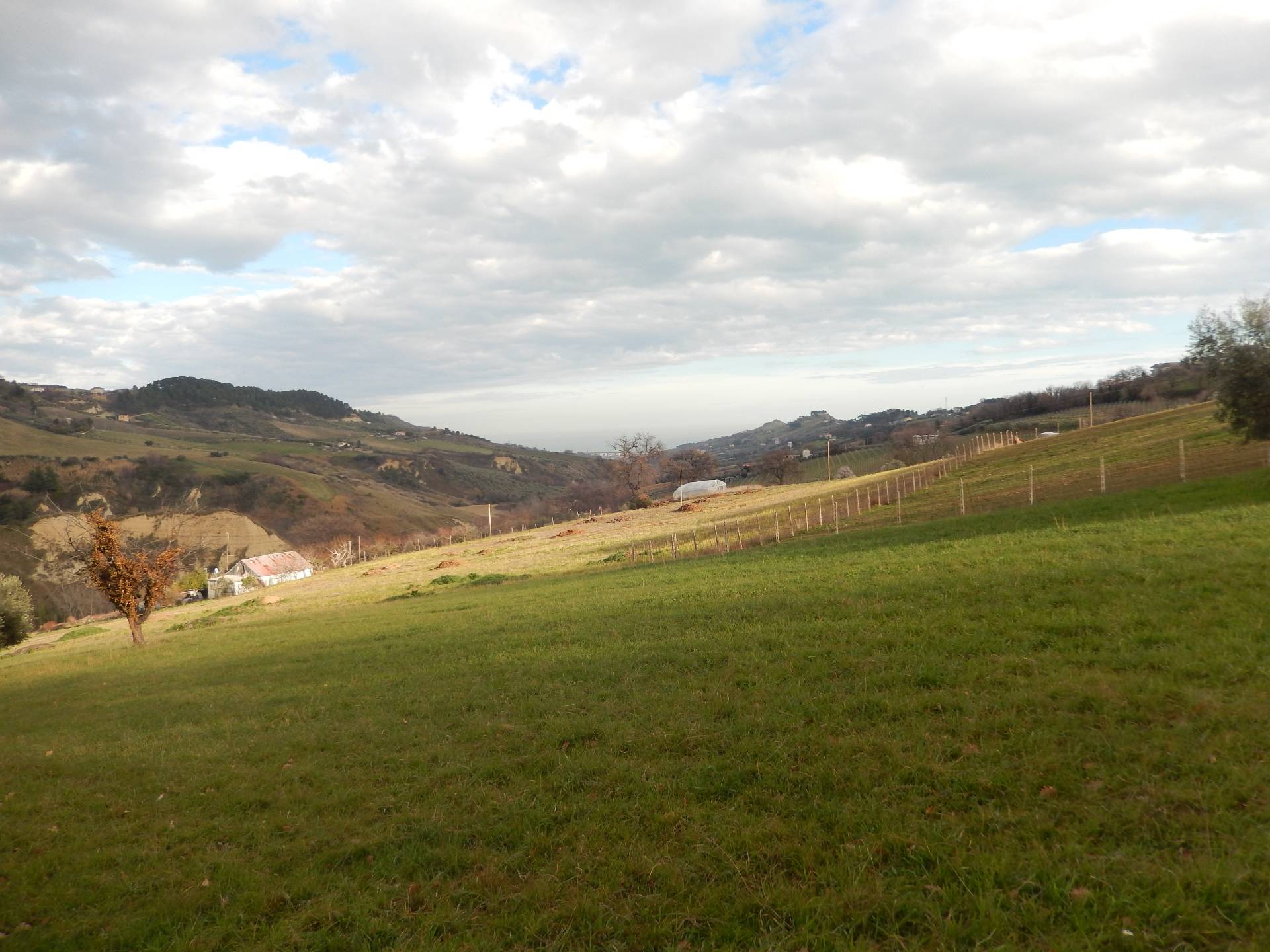 immagine annuncio 5 di 6