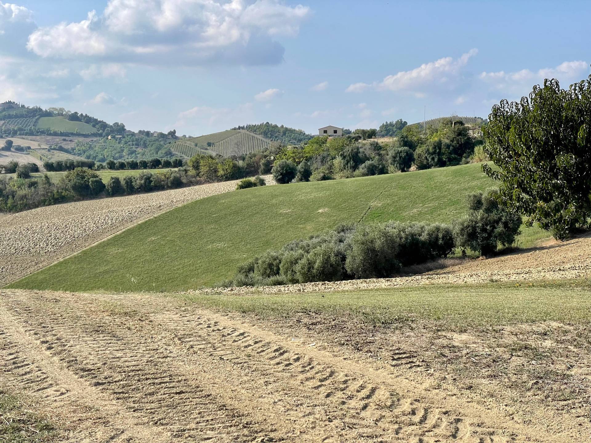 Rustici e Casali in vendita a Cossignano