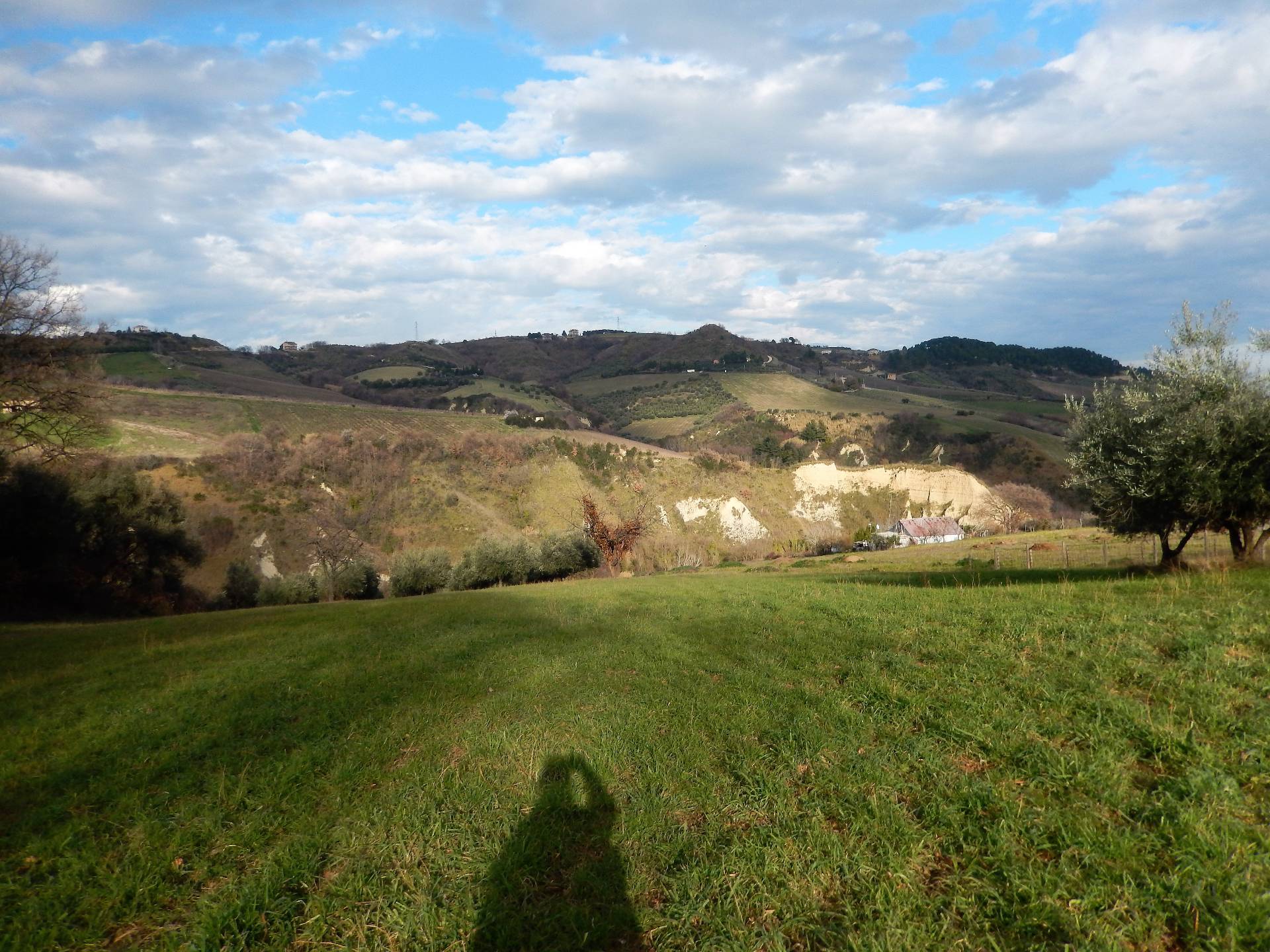 immagine annuncio 2 di 6